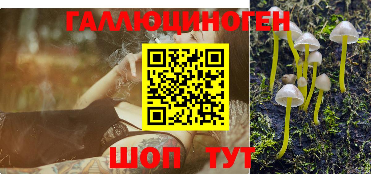Донской  Галлюциногенные грибы GOLDEN TEACHER  Вход с VPN 